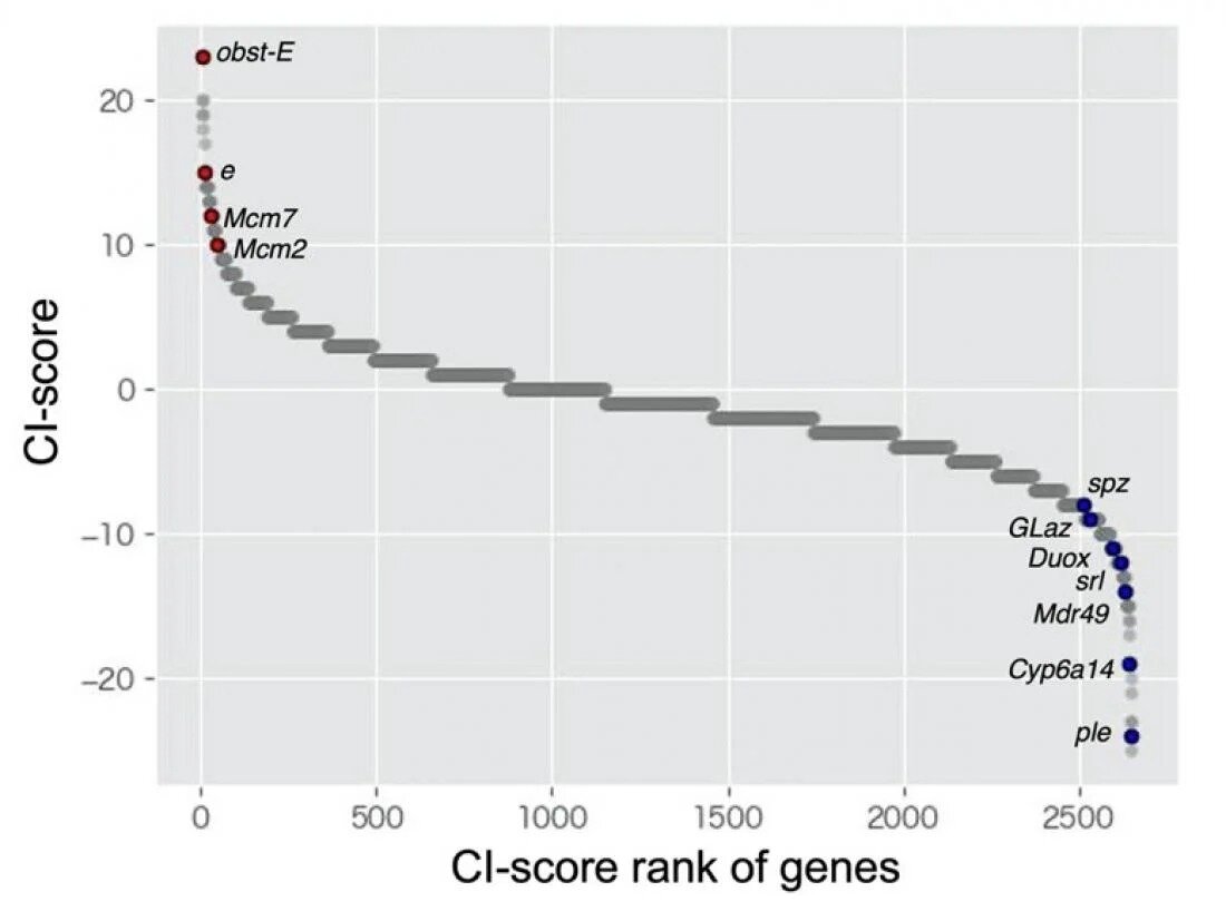 The horizontal axis indicates gene ranking based on the method developed in our laboratory for the meta-analysis of RNA-sequencing data. The vertical axis shows the values used to rank genes. High-ranking and low-ranking genes indicate upregulated genes in response to high and low densities, respectively. Gene names are described next to plots for previously reported density-response genes. In addition, the genes that have not been reported as density-responsive genes were also included in high-ranking and low-ranking genes.