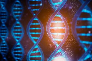 یک تیم بین‌المللی از محققان به رهبری دانشگاه دورهام بریتانیا، راه‌هایی را کشف کرده‌اند که با رمزگشایی کد مکانیکی DNA، اطلاعات بیولوژیکی را در یک توالی DNA رمزگذاری می‌کند.