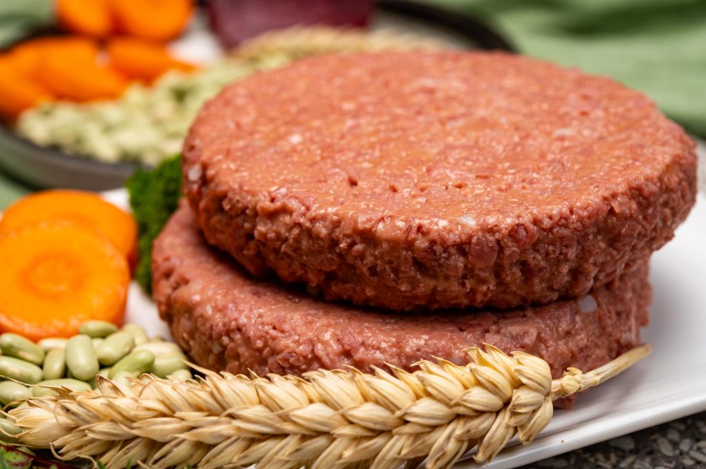 پروتئین های گیاهی جایگزین مناسبی برای گوشت