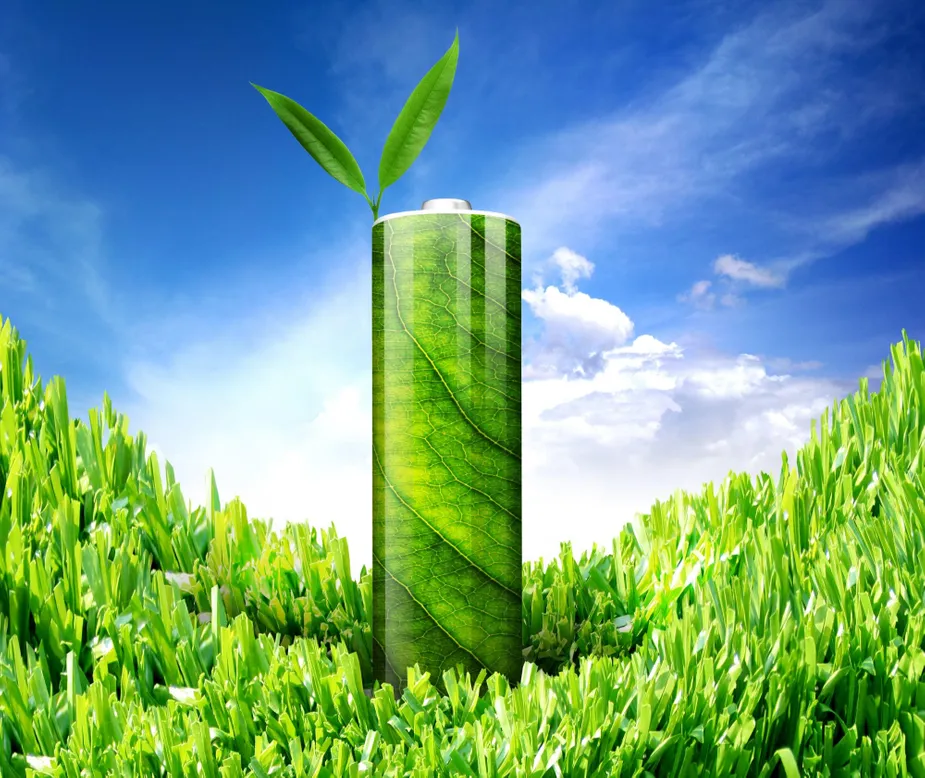 با مهار انتقال طبیعی الکترون ها در سلول های گیاهی، می توان الکتریسیته را به عنوان بخشی از یک سلول خورشیدی سبز و بیولوژیکی تولید کرد.