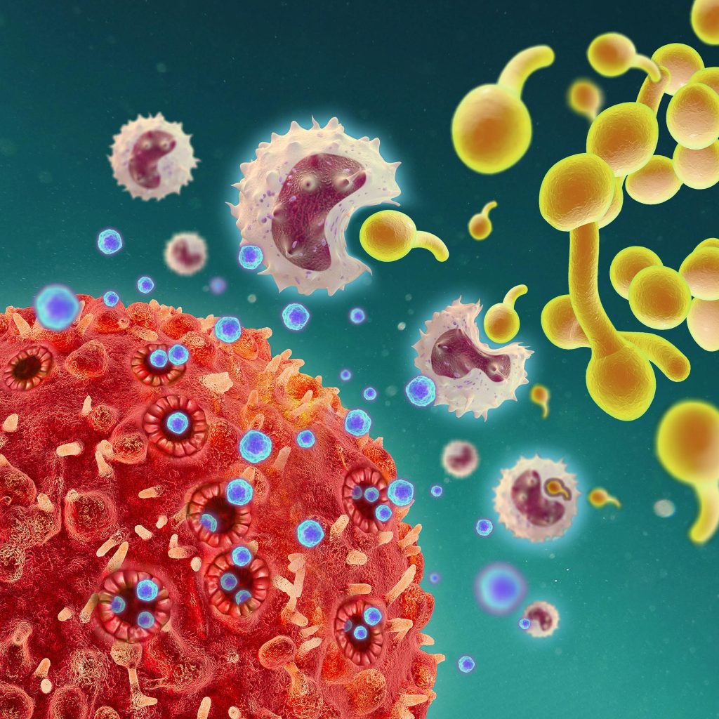 محققان به تازگی کشف کرده اند که سلول های T خاص می توانند سیتوکین هایی ترشح کنند که به طور معمول بخشی از سیستم ایمنی هستند.