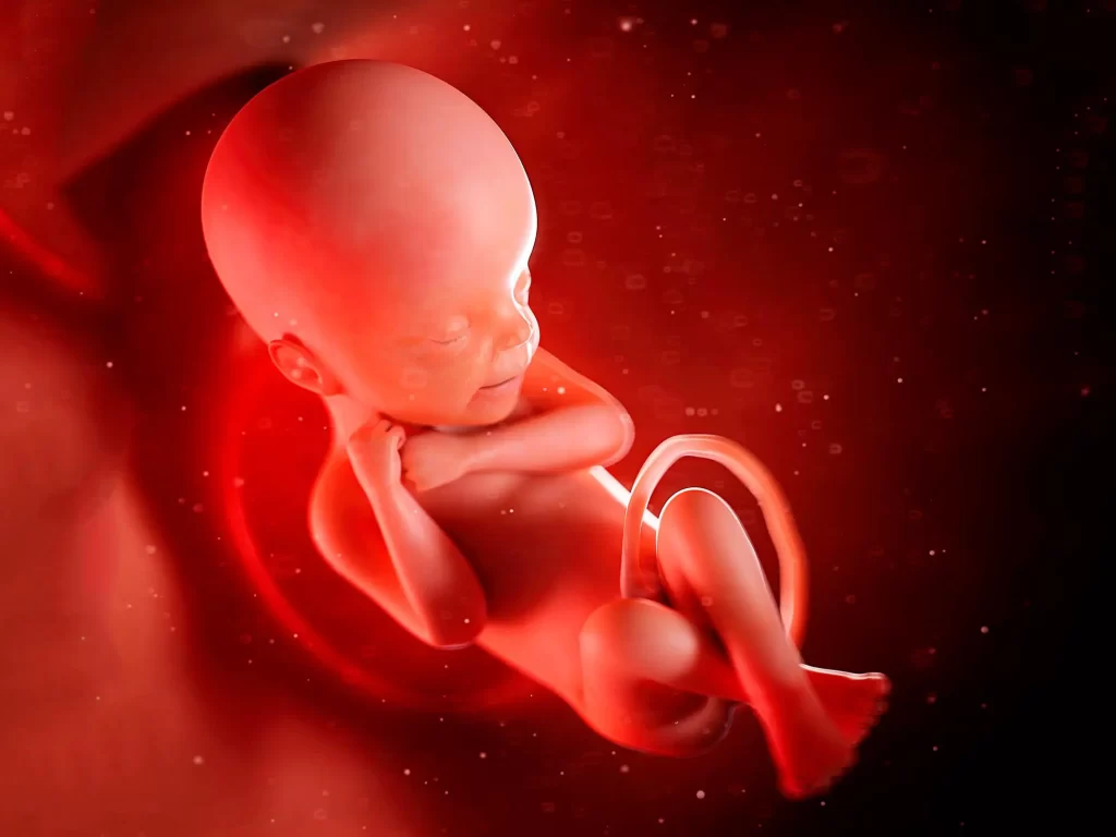 دعاهای علمی مبنی بر اینکه جنین انسان در حالی که هنوز در رحم مادر است،در محیطی پر از باکتری های زنده قرار دارد، نادرست هستند