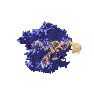 محققان اسپانیایی پروتئینن های باستانی CRISPR را از میلیون‌ها و حتی میلیاردها سال پیش احیا کردند و نتایج بسیار قابل توجه بود.