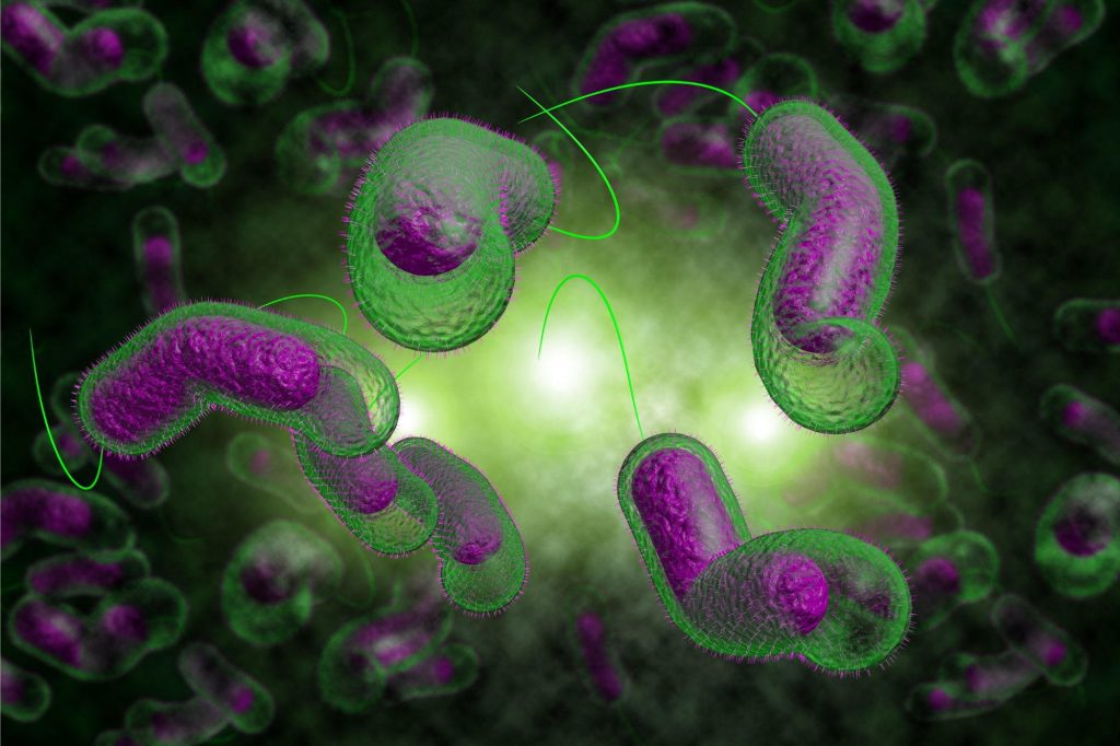 محققان موسسه فناوری ماساچوست (MIT) مولکول هایی در مخاط کشف کرده‌اند که توانایی جلوگیری از ابتلا به وبا را به کمک اختلال در ژن‌های مسئول تبدیل میکروب به حالت مضر دارند.
