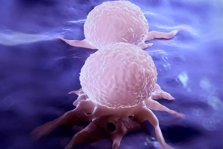 ایمونوتراپی که هدفش از بین بردن سلول‌های تومور باقی‌مانده از طریق فعال کردن سیستم ایمنی است، پاسخ نمی‌دهند
