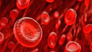 مطالعه ای اخیرا نشان داده که یک داروی آرتروز رایج می‌تواند به طور موثر سلول‌های بنیادی خون را جوان سازی کند