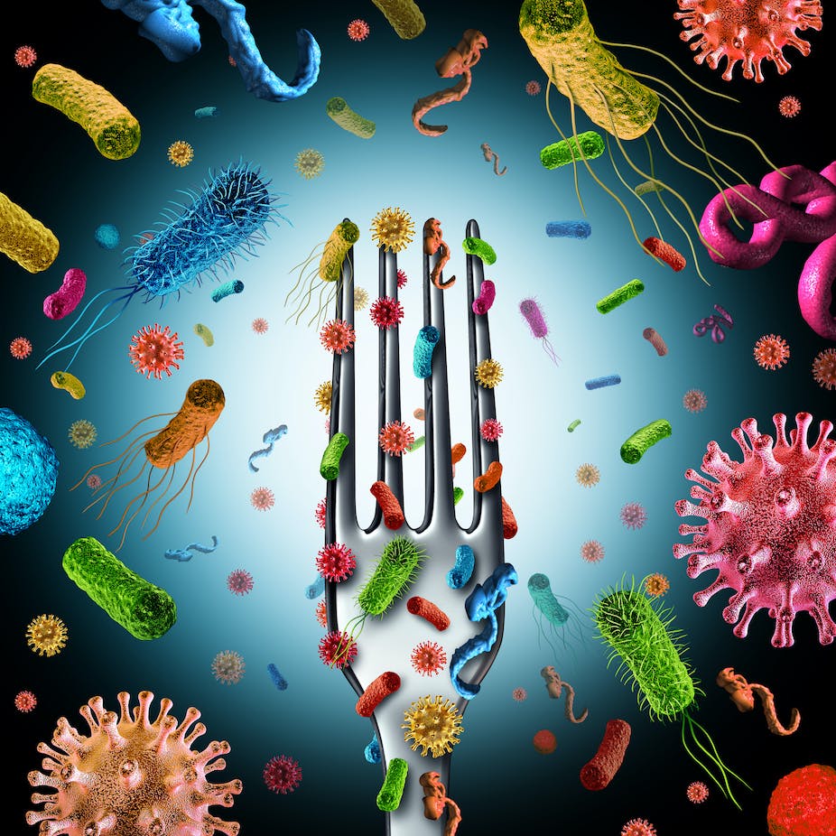 تحقیقات نشان می دهد میکروب های موجود در غذا می‌توانند در دو نقش متفاوت به بدن شما برای مبارزه با سرطان کمک کنند یا مانع از آن شوند.