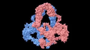 نقشه سه بعدی پروتئین