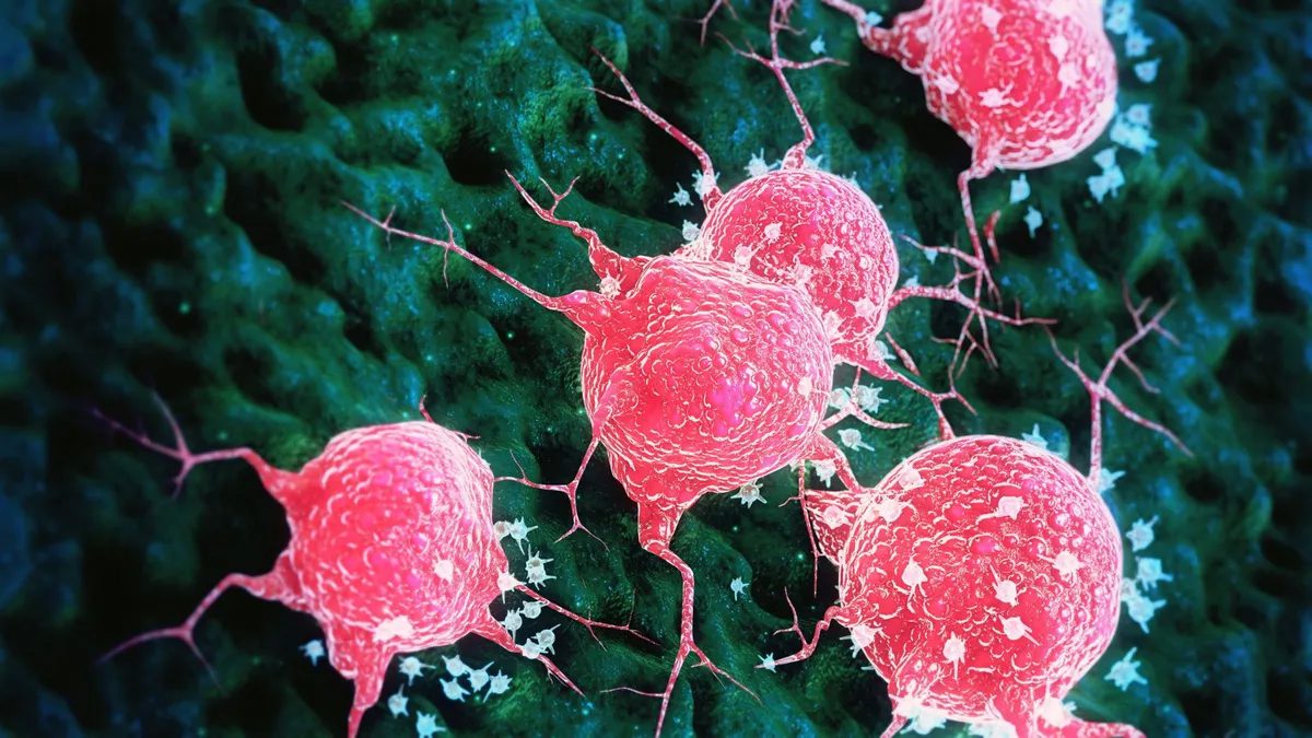 مطالعه جدیدی که در مجله Clinical and Experimental Immunology منتشر شده است نشان می دهد که پپتیدی به نام PEPITEM ممکن است راهی انقلابی برای کاهش خطر ابتلا به دیابت نوع 2 و سایر بیماری های مرتبط با چاقی مانند کبد چرب به ما ارائه دهد. این مطالعه از یک آزمایش حیوانی استفاده کرد تا بررسی کند که آیا تجویز PEPITEM می تواند از اثرات داشتن رژیم غذایی پرچرب بر کبد جلوگیری کند یا روند آن را کاهش دهد. نتایج بدست آمده نشان داد که تجویز PEPITEM به طور قابل توجهی باعث کاهش بزرگ شدن سلول های تولید کننده انسولین در پانکراس و کاهش مهاجرت سلول های ایمنی به بافت های مختلف می شود