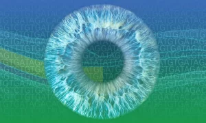  محققان موسسه EMBL-EBI ، داده‌های بیوبانک بریتانیا را برای کشف اطلاعات جدید در مورد بیماری‌های نادر چشمی بررسی کردند. مطالعات آنان نشان داد اختلال در برخی گونه های ژنتیکی رایج می تواند باعث بروز  بیماری های نادر چشمی شود.