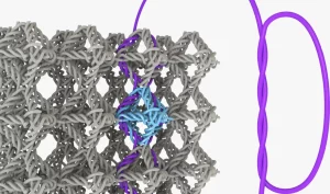 پژوهشگران Caltech با ابداع یک ماده جدید متشکل از چندین گره به هم پیوسته در مقیاس نانو ، توانستند تار هایی با استحکام بسیار بالا بسازند