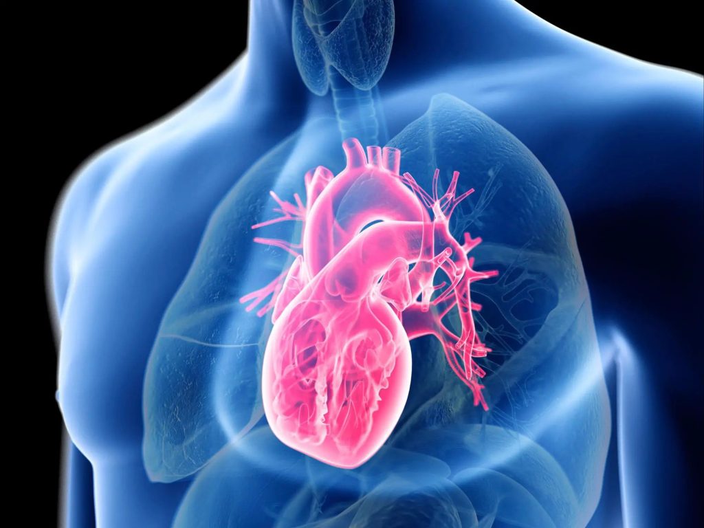 یافته های یک مطالعه جدید نشان می دهد که افراد مبتلا به کووید طولانی مدت، دو برابر بیشتر از افراد دیگر به بیماری‌ های قلبی دچار می ‌شوند.