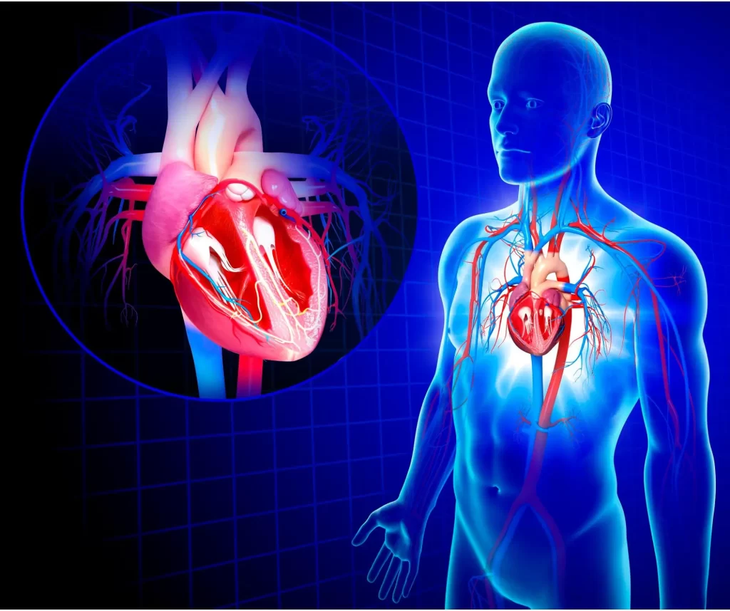 محققان دانشکده پزشکی دانشگاه واشنگتن در سیاتل با موفقیت سلول‌های بنیادی ایجاد کردند که باعث آریتمی خطرناک قلب نمی‌شوند.