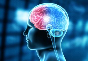 ضربه مغزی می تواند با ایجاد تغییرات شیمیایی یا آسیب به سلول های مغزی، باعث بروز نشانه های مختلفی در بدن شود.