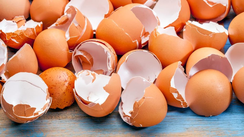 استفاده از پوسته تخم مرغ در پیوند استخوان!