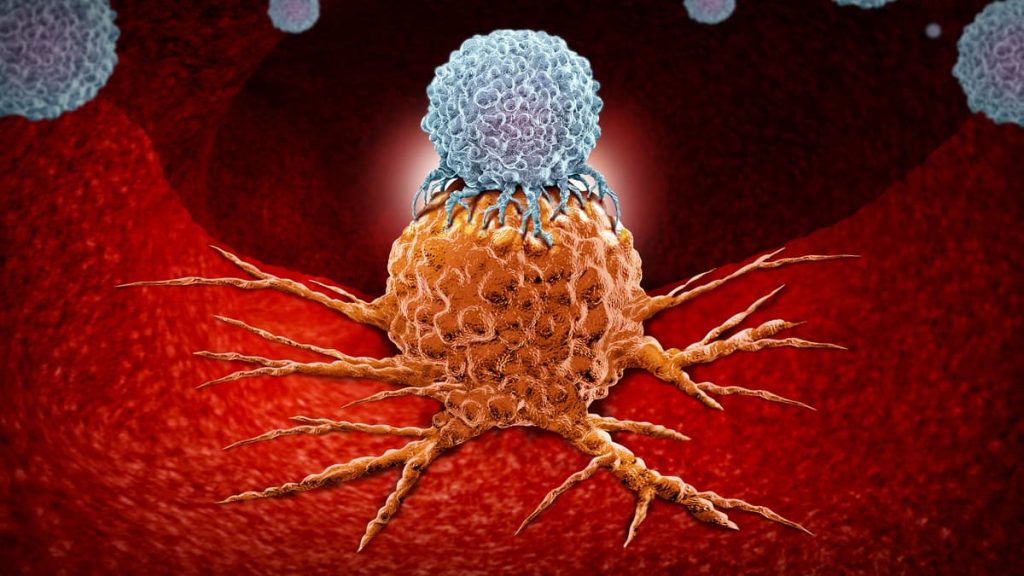 مبارزه مداوم با سرطان یا سایر بیماری‌ها می‌تواند سلول های سیستم ایمنی ما را خسته کند و توانایی آنها را برای از بین بردن مهاجمان مختل کند.