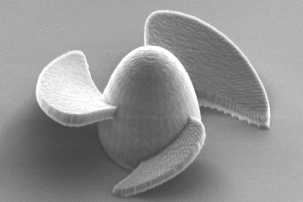 محققان در دانشگاه کلرادو دسته جدیدی از میکروربات را طراحی کرده‌اند که می‌توانند با سرعتی خارق‌العاده از درون مایع عبور کنند.