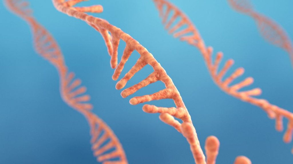 در یک پیشرفت چشمگیر، تیمی از محققان از دانشکده پزشکی هاروارد، ژنی را شناسایی کردند که وقتی جهش پیدا می‌کند، از طریق مکانیسمی غیرعادی باعث ایجاد سرطان می‌شود.