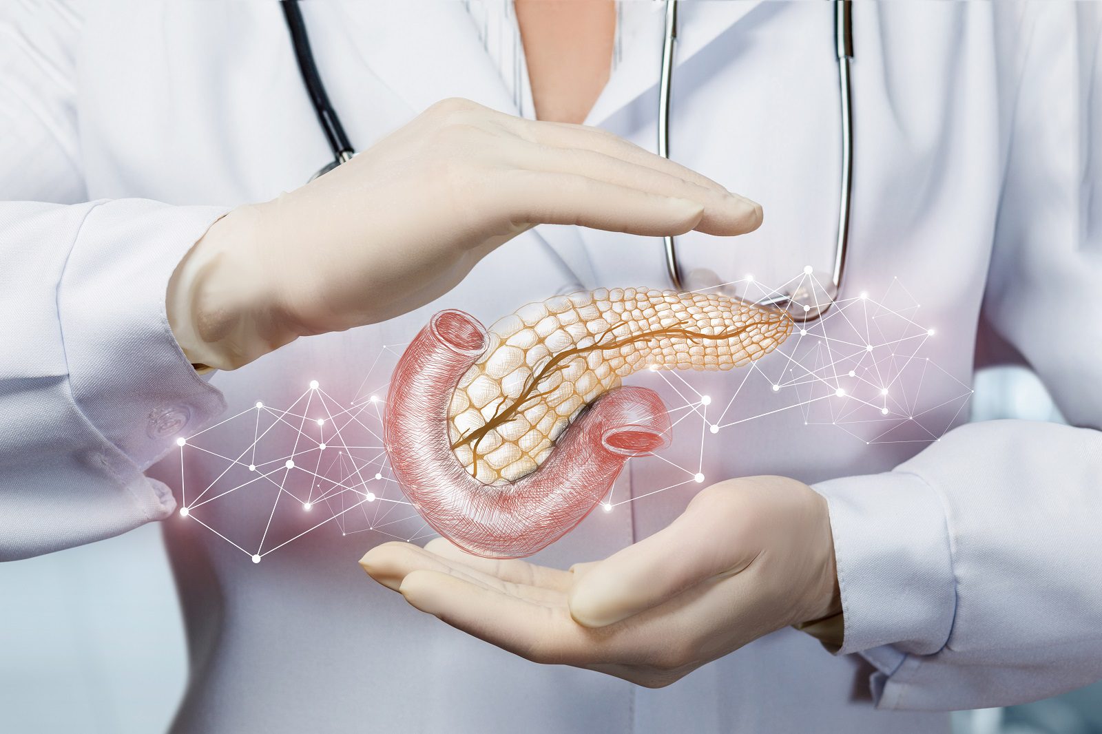 The concept of protection of the pancreas of the patient.
