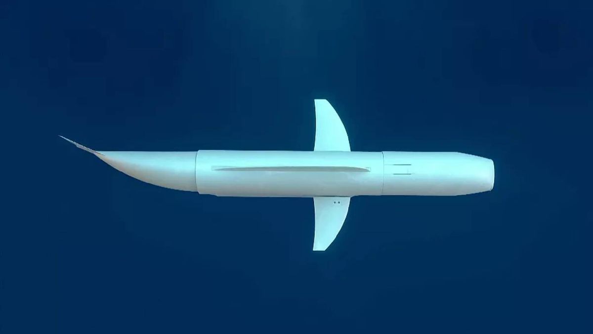 ربات انفجار دقیق