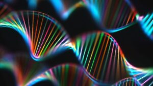 محققان به‌تازگی از یک سیستم سازنده DNA مصنوعی به نام AEGIS برای طراحی دو نوکلئوتید مصنوعی استفاده کردند که هندسه نوکلئوتیدهای طبیعی را به طور بی عیب و نقصی تقلید می کنند.