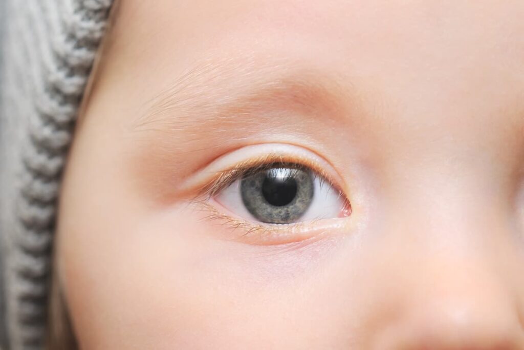 اخیرا محققان موفق به ثبت تصاویر از شبکیه چشم کودکان شده و آنها را با استفاده از یک الگوریتم یادگیری عمیق هوش مصنوعی برای تشخیص اوتیسم با دقت 100 درصد غربالگری کردند.