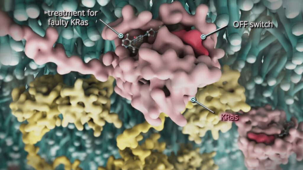 تصویری از پروتئین KRAS-G12C در داخل یک سلول سرطانی و اینکه چگونه داروی دیواراسیب می تواند آن را هدف قرار دهد