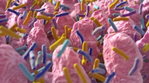محققان کشف کردند که تغییرات ناشی از رژیم کتوژنیک در ترکیب میکروبی روده ممکن است برای بیماران صرعی مفید باشد