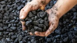 تبدیل زغال سنگ به خوراک دام