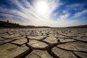 دانش بنیان ها ایران را از خشکسالی نجات می دهند