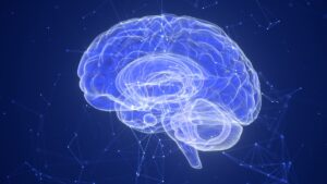 یک مطالعه جدید نشان داده است که باورهای افراد می تواند یک اثر وابسته به دوز در مغز ایجاد کند
