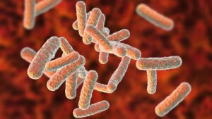 دانشمندان اخیرا پلیمرهای ضد باکتری جدیدی تولید کرده اند که می تواند به مقابله با ابر میکروب ها کمک کند