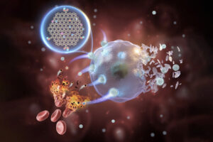 تصویری شماتیک که نقش GQDها که از غشاهای گلبول های قرمز مشتق شده‌اند را به عنوان آنزیم تقلیدکننده پراکسیداز برای درمان کاتالیزوری تومور نشان می‌دهد