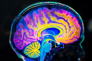 : تحقیقات جدید با تجزیه و تحلیل بیش از 1000 منطقه مغزی در افراد مختلف، تغییرات مغزی متنوع و مرتبط با بیماری‌های روانی را نشان می‌دهد و بینش‌های جدیدی در مورد اهداف درمانی شخصی نشان می‌دهد