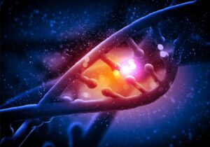 تحقیقات جدید نشان داده است که "DNA تصادفی" به‌طور فعال در مخمر رونویسی می‌شود، اما در سلول‌های پستانداران علیرغم اینکه هر دو این موجودات دارای یک جد و مکانیسم مولکولی مشترک هستند، تا حد زیادی غیرفعال می‌ماند. این مطالعه شامل قرار دادن یک ژن مصنوعی معکوس در سلول‌های بنیادی ابتدا مخمر و سپس موش بود که تفاوت‌های قابل‌توجهی را در فعالیت رونویسی نشان داد. یافته‌ها حاکی از آن است که در حالی که سلول‌های مخمر به‌طور فعال تقریباً همه ژن‌ها را رونویسی می‌کنند، سلول‌های پستانداران به‌طور طبیعی این رونویسی را سرکوب می‌کنند. این تحقیق نه تنها درک ما از رونویسی ژنتیکی در میان گونه‌ها را زیر سوال می‌برد، بلکه پیامدهایی برای آینده مهندسی ژنتیک و کشف ژن‌های جدید نیز دارد