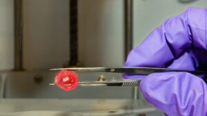 ستون‌های رگ‌های خونی با چاپ زیستی سه‌بعدی