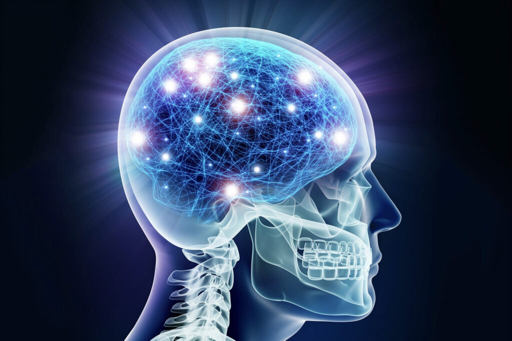 کشف منشاء عصبی منحصر به فرد در مغز انسان