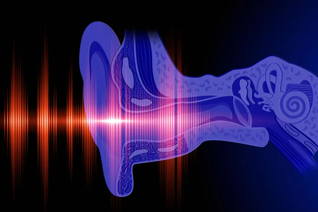 شناسایی درمانی موثر برای التهاب مزمن گوش میانی