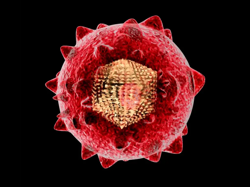 (زیرنویس تصویر: در جهان حدود 26 میلیون نفر به ویروس هپاتیت B (HBV) مبتلا هستند که باعث مرگ و میر قابل‌توجهی می‌شود و منجر به سیروز یا سرطان می‌شود زیرا این ویروس در ابتدا کبد را با یک سری علائم کم، هدف قرار می‌دهد. تحقیقات اخیر مکانیسم‌های جدیدی از پروتئین پلیمراز HBV را نشان داده است که می‌تواند منجر به درمان‌های نوآورانه شود و به طور بالقوه فراتر از محدودیت‌های درمان‌های فعلی که این بیماری را مدیریت می‌کنند، اما آن را از بین نمی‌برند، حرکت می‌کند)