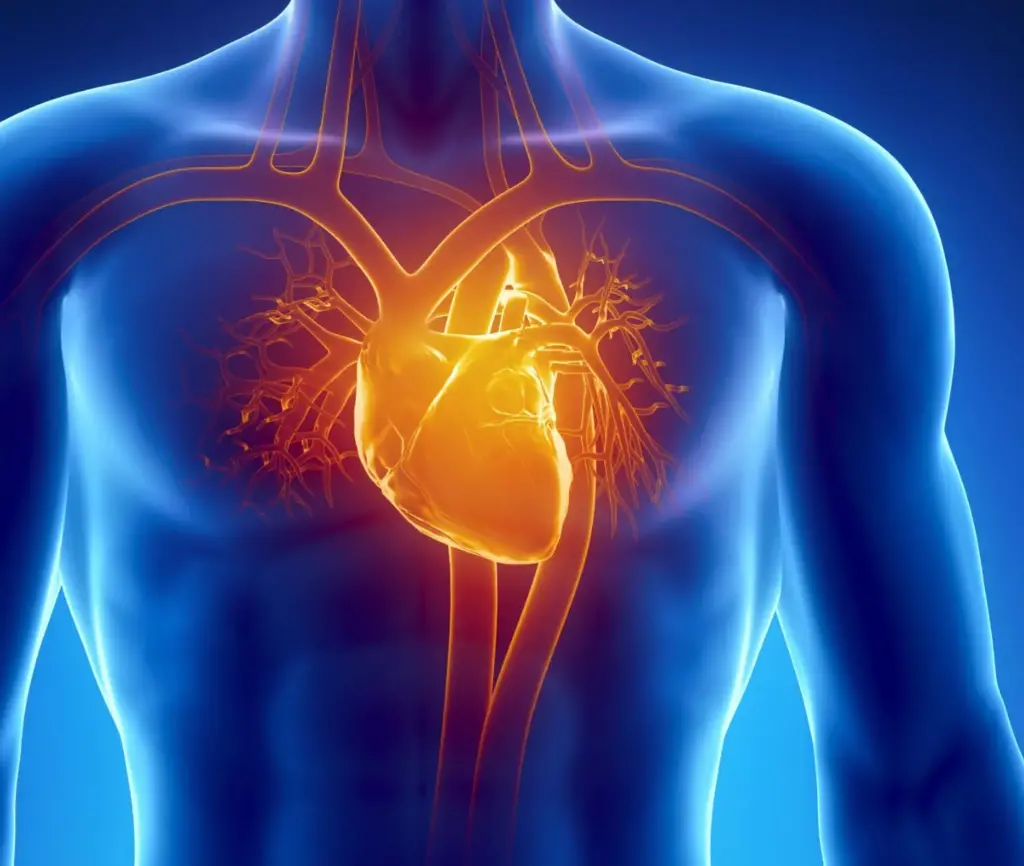 طبق نتایج یک مطالعه جامع، بیش از یک چهارم افراد بالای 60 سال به یک بیماری دریچه قلب ناشناخته مبتلا هستند. عوامل مرتبط با سن نقش مهمی در شیوع و شدت این بیماری ایفا می‌کنند و ضرورت انجام تحقیقات مداوم و بهبود تشخیص‌ها را برجسته می‌کنند
