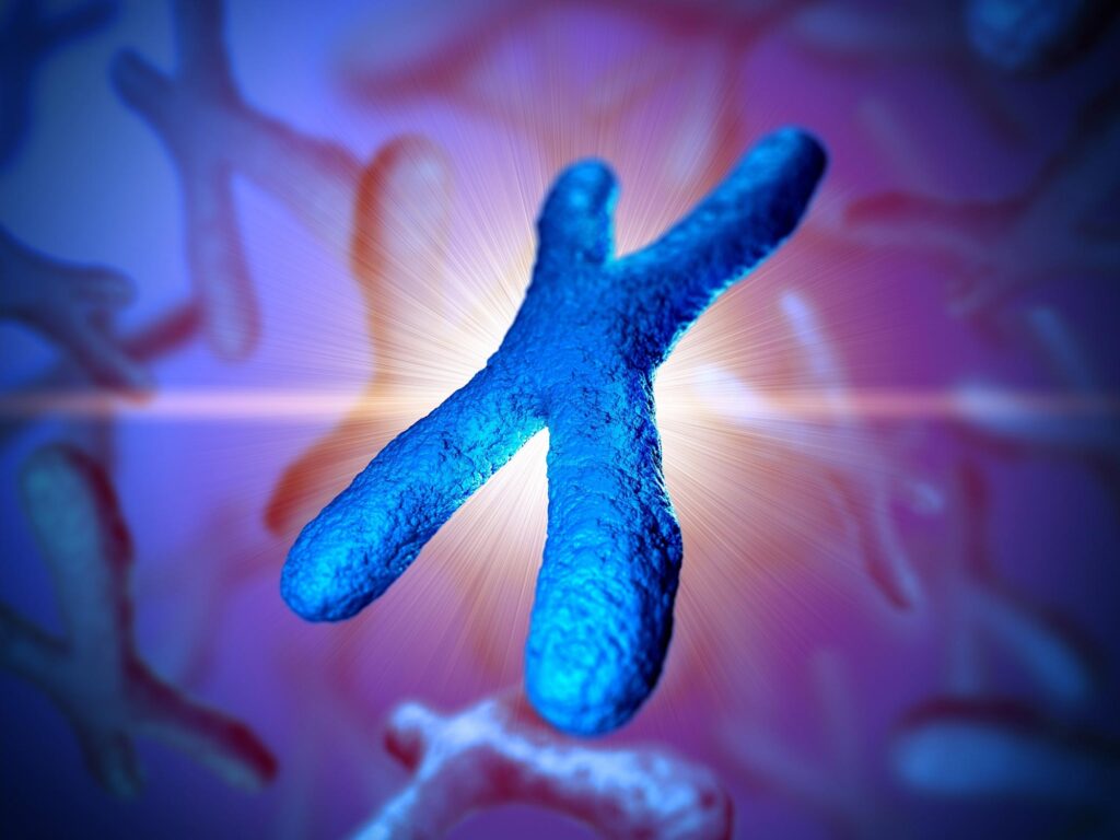 (زیرنویس تصویر: محققان دانشگاه UC San Diego به‌تازگی کشف کردند که حذف کروموزومی 22q11.2del به‌طور قابل‌توجهی خطر ابتلا به اسپینا بیفیدا را افزایش می‌دهد و ژن CRKL را به عنوان یک عامل کلیدی شناسایی کردند. آنها همچنین بر نقش اسید فولیک در کاهش خطر و شدت اختلال تاکید کردند)