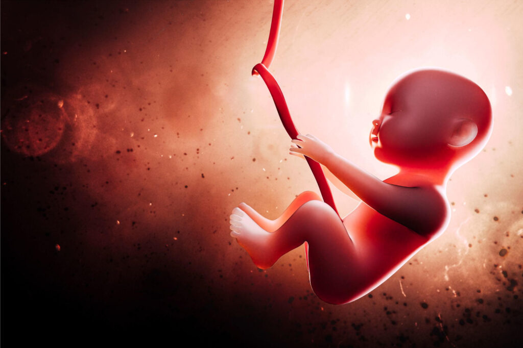 (زیرنویس تصویر: دانشمندان در حال مطالعه چگونگی تعامل نانوذرات که در همه‌ جا محیط ما وجود دارند و مشکوک به ایجاد مشکلات رشد در نوزادان متولد نشده هستند، با سد جفت هستند. تحقیقات آنها نشان داده است که این ذرات می‌توانند ارتباط بین جفت و جنین را مختل کنند و به‌طور ویژه‌ای بر تشکیل رگ‌های خونی تأثیر می‌گذارند بدون اینکه لزوماً در بافت جنین وجود داشته باشند)