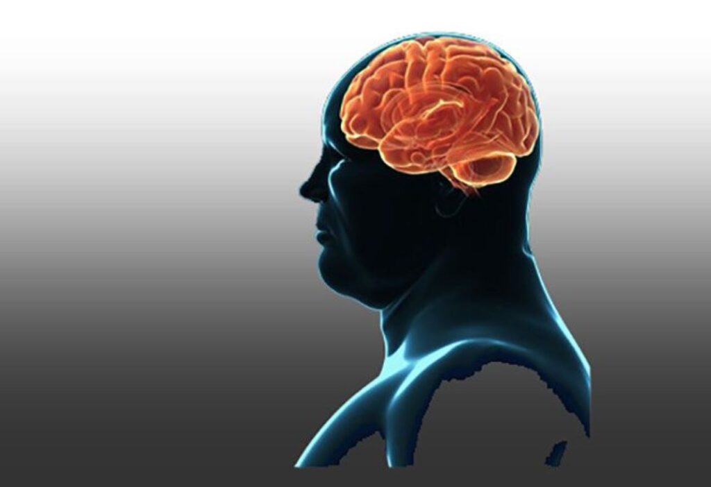 چاقی میتواند باعث تغییرات مغزی مرتبط با خطر زوال عقل شود