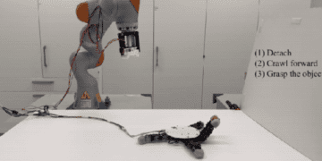 این دست رباتیک برای گرفتن اشیا جدا می شود!