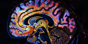 کشف بینشی جدید در مورد رازهای پنهان افسردگی