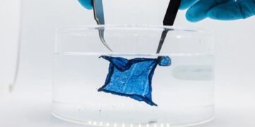 ایجاد هیدروژل نیمه‌رسانای کشسان برای دستگاه‌های الکترونیک قابل کاشت