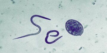 گوگل قوانین مقابله با محتوای «سئو انگلی» را سخت‌تر کرد