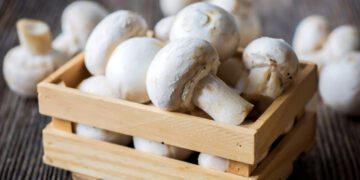 نقش شگفت‌انگیز قارچ سفید دکمه‌ای در مبارزه با سرطان