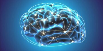 کشف مکانیسم تقویت عملکرد مغز با خواب سبک