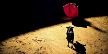 سقف‌شکنی بیت کوین